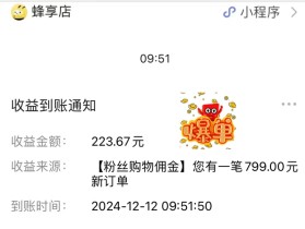 蜂享家品牌特卖！如何打造个人IP做好私域电商？
