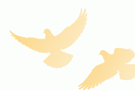 蜂享家掌柜招募｜2026年蜂享家最新邀请码，蜂享家平台有什么优势？