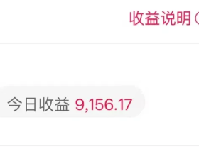 2025做副业就选择蜂享家！在蜂享家1天赚1万不是梦！个人累计580万