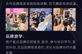 蜂享家为何如此成功？一文讲明白！（新掌柜必看）