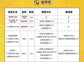 蜂享家掌柜晋升条件以及奖励制度全面讲解2024版