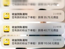2025 年，搞副业别瞎选，试试蜂享家0投资副业