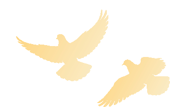 蜂享家掌柜招募｜2026年蜂享家最新邀请码，蜂享家平台有什么优势？